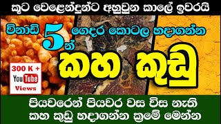 කහ කුඩු විනාඩි 5න් කොටල හදමු  Turmeric Powder  Kaha Kudu  300 K Views [upl. by Lilllie]