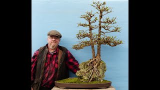 Japanese Larch Bonsai Restoration with Graham Potter  Part 1 Roots  Kaizen Bonsai [upl. by Esirtal]