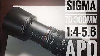 Sigma 70300 F456 APO and why I dont rule it out [upl. by Phipps]