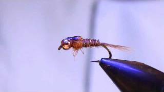 Tying a Pheasant Tail Nymph [upl. by Ninehc]