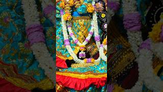 adharam madhuram vrindavan radhavallabh shortsfeed [upl. by Akimrej681]