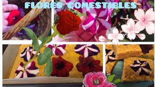 FLORES COMESTIBLES Y RECETA 🌺⚘️🌼🌹🥀 [upl. by Hpotsirhc4]