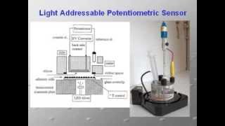 Sensori e Biosensori  ElbaTech Quartz Crystal Microbalance QCM [upl. by Mariana831]