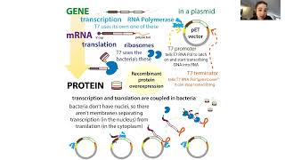 Cellfree protein expression amp the biochemistry of the PURE expression system [upl. by Saffren]