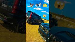 Scorpio viral X no parking song viralvideo scorpio ytshorts thar Blackloverofficial [upl. by Nosirb]