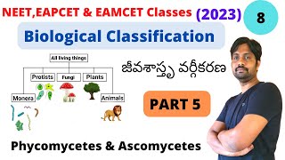 Biological Classification  జీవశస్తృ వర్గీకరణ  PART 5  Phycomycetes and Ascomycetes [upl. by Eihcra]