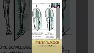 Eclectic Classroom with Deb Bennett PhD  Straightness and Collection  Join us live horse [upl. by Hun]