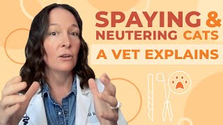 The Truth About Spaying and Neutering Cats A Complete Guide [upl. by Hait]