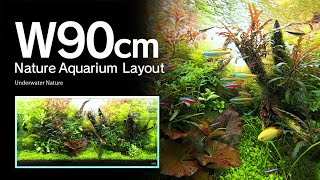 ADAview Underwater Nature 水中の大自然 W90cm NatureAquarium Layout【ENJP Sub】 [upl. by Asilrahc]