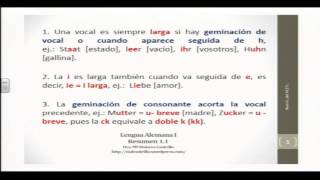 Alemán para hispanohablantes Pronunciación básica del alemán Vocales [upl. by Huai]