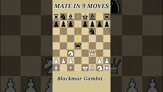 Blackmar Gambit 👍💯 Mate In 9 MOVES [upl. by Nylg]