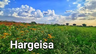 Duleedka Hargeisa [upl. by Laeria]