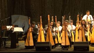 Iguazú en Concierto 2013  Orquesta de Arpas Sonidos de la Tierra Paraguay [upl. by Annawit]