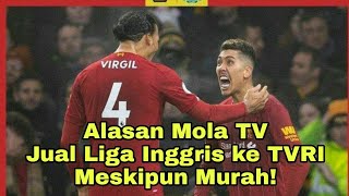 Ini Alasan Mola TV Jual Liga Inggris ke TVRI Meskipun Murah [upl. by Ntsud]