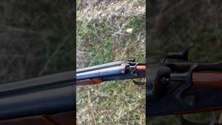 Hunting Turdus With Double Barrel TOZ NEW VIDEO COMING 🔥🔥 hunting turdus toz huntingshorts [upl. by Einahpet]