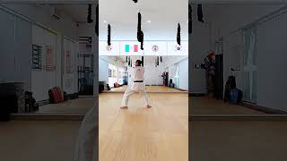 Taeguk 5 Taeguk Oh Jang Taekwondo Jidokwan [upl. by Esinahs]