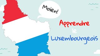 E10 Accords Adjectifs ‘fir ze  infinitif’ amp Vocabulaire  APPRENDRE LE LUXEMBOURGEOIS [upl. by Memory]