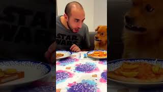 My lovely dog so happy pet funny dog foryou asmr [upl. by Kabab617]