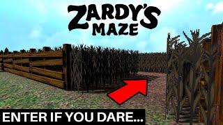 Welcome to Zardys Maze My New Game [upl. by Eesdnyl]