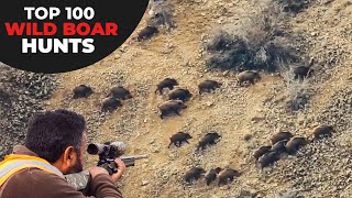 TOP 100 WILD BOAR HUNTS  EN İYİ 100 DOMUZ AVI  CHASSE AU SANGLIER [upl. by Ail346]