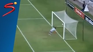 Three superb South African goals [upl. by Atiuqad]