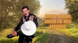 Joan Sebastian – Llegaste a Tiempo Letra Oficial [upl. by Elephus]