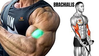 5 best brachialis exercises with cable only at gym [upl. by Perlman437]