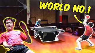 Worlds Most Intense Table Tennis Session [upl. by Sanger]