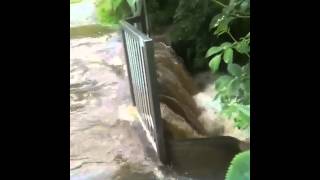 Belper Derbyshire Coppice Brook [upl. by Trin]