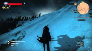 The Witcher 3 Wild Hunt  Patch 112 Skelliges Most Wanted fix [upl. by Keli415]