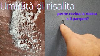 cosè lumidità di risalita e come risolvere [upl. by Annawt]