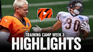 Cincinnati Bengals Training Camp Highlights amp Recap  Week 3 [upl. by Zachery820]