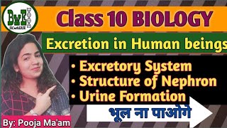 Excretion in Human beings ll structure of Nephron ll Mechanism of Urine Formation ll Class 10 ll [upl. by Euqinay]