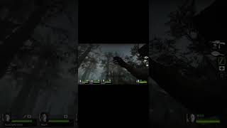 Left4Dead2  Swamp Fever [upl. by Tavia991]