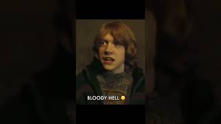 Every time Ron said quotBloody Hellquot harrypotter [upl. by Molton363]