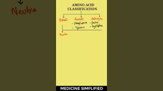 Amino Acids Classification  Classification of Amino Acids  Amino Acids biochemistry [upl. by Leifeste976]