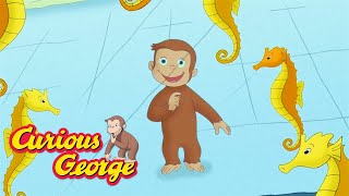 George Learns about Sea Animals 🐵 Curious George 🐵 Kids Cartoon 🐵 Kids Movies [upl. by Aigil]