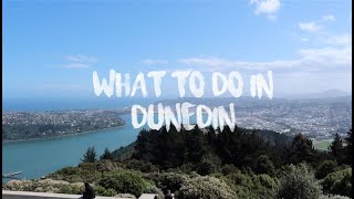 TOP THINGS TO DO IN DUNEDIN NZ [upl. by Airamas]