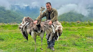 Cooking The Best Unimaginable Recipes In The Mountain Village Of Azerbaijan [upl. by Boor]