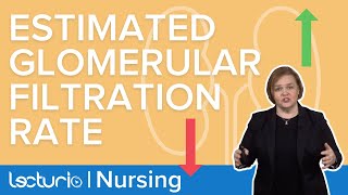 How Estimated Glomerular Filtration Rate eGFR Relates to Kidney Function  Lecturio Nursing [upl. by Terhune82]