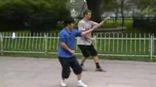 Xing Yi Quan Five element fist training Beijing [upl. by Eelahc564]