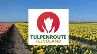 Tulpenroute Flevoland [upl. by Nisaj]