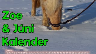 Zoe amp Júni Kalender [upl. by Ansilme59]