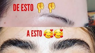 Cómo hacer crecer las cejas y pestañas en dos días Rosa M12 [upl. by Cassella613]