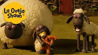 La Oveja Shaun 🐑 Ovejas dormidas 🐑 Dibujos animados para niños [upl. by Jedediah710]