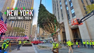 Installation Of NYC Rockefeller Center Christmas Tree 2024 ✨ New York City Christmas 2024 🌲 [upl. by Orazio947]