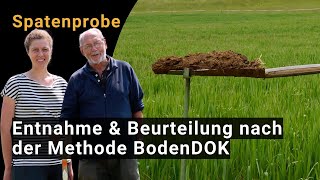 Die Spatenprobe  Entnahme und Beurteilung nach der Methode BodenDOK [upl. by Domingo]