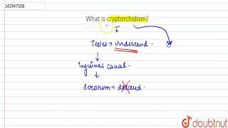 What is cryptorchidism [upl. by Attemaj]