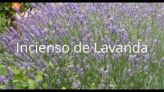 Cómo hacer INCIENSO de LAVANDA Tutorial [upl. by Dougall]