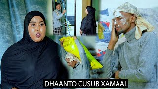 DHAANTO CUSUBXAMAAlSHUCEYB YARE IYO SAFIYA SAAFINEW VIDEO OFFICIAL2024 [upl. by Dalia]